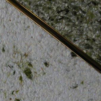 Noblesse-Dekor.de - Flüssigtapeten