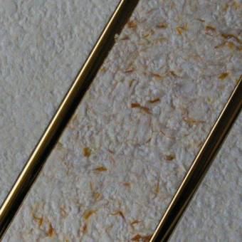 Noblesse-Dekor.de - Flüssigtapeten