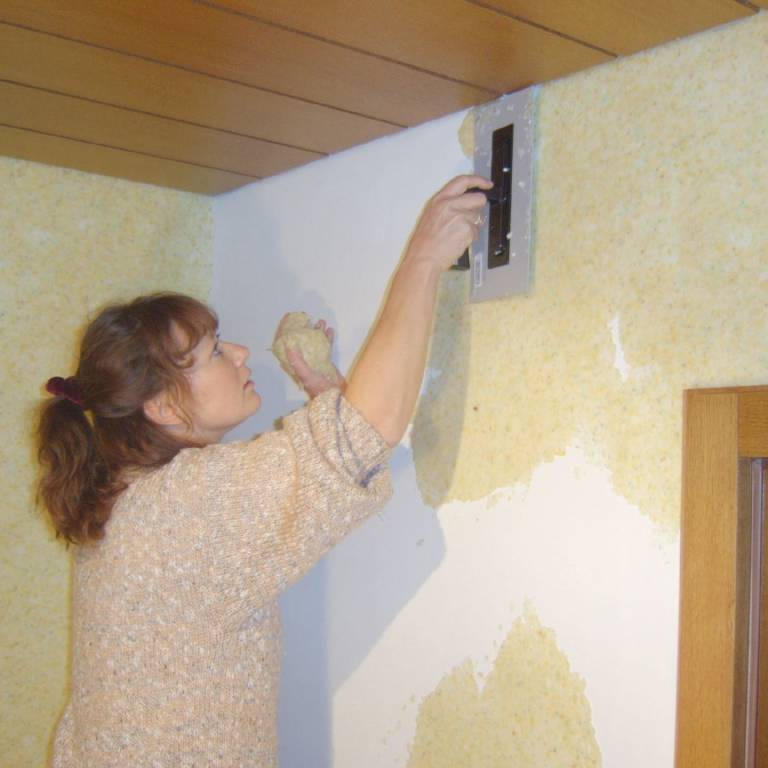 Noblesse-Dekor.de - Flüssigtapeten