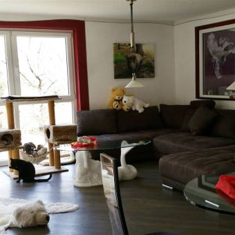4 Wohnzimmer in 2 Farben von Noblesse-Dekor Baumwollputz